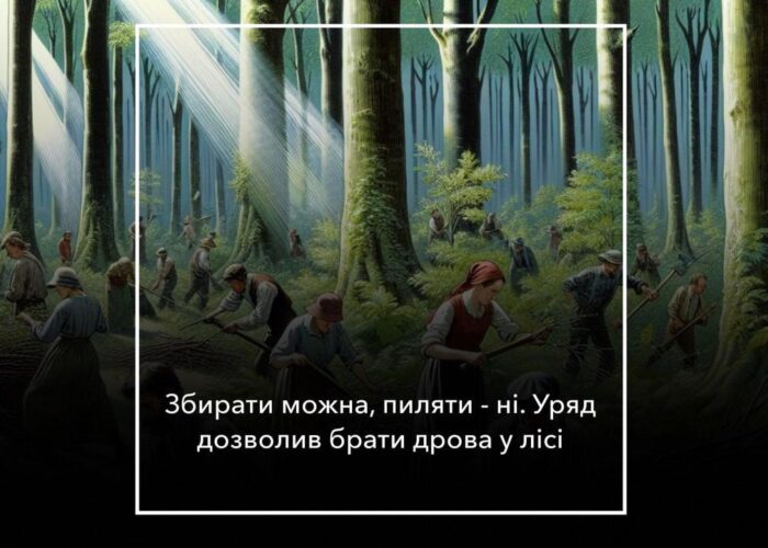 Дрова безкоштовно збирай – оселю взимку обігрівай!