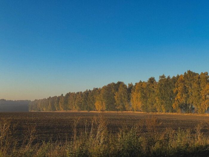 Доброго дня, громадо!