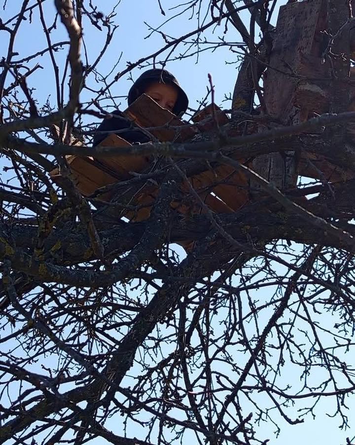 &laquo;Щоб вчитися &mdash; лізуть на дерева&raquo;: реалії  прикордоння Чернігівщини