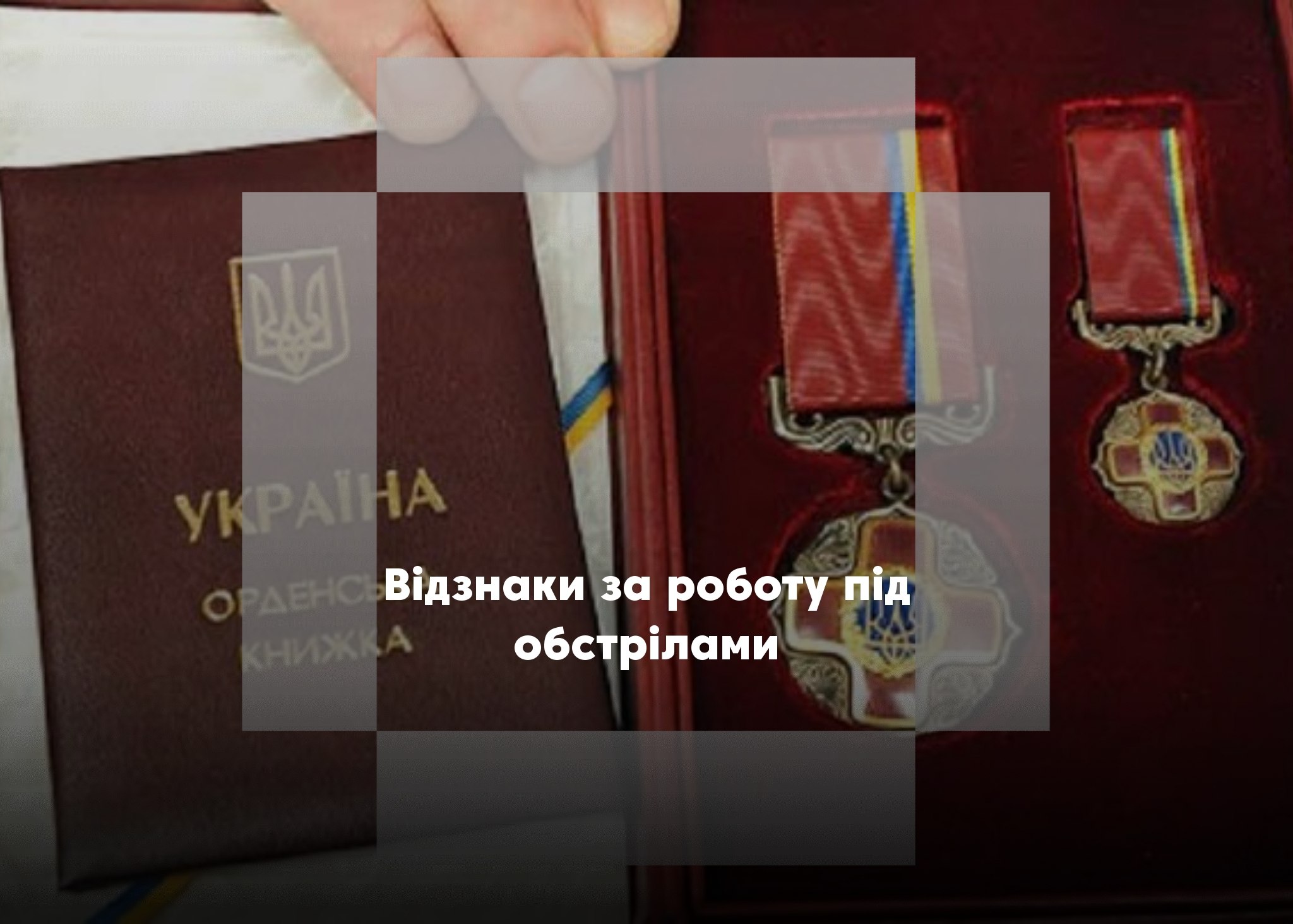 Президент нагородив трьох жителів Новгород-Сіверського району державними відзнаками