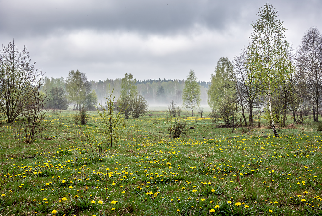Погода у Семенівці на 13.04.2026