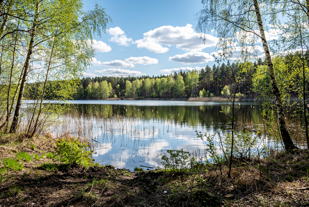 Погода у Семенівці на 17.04.2026