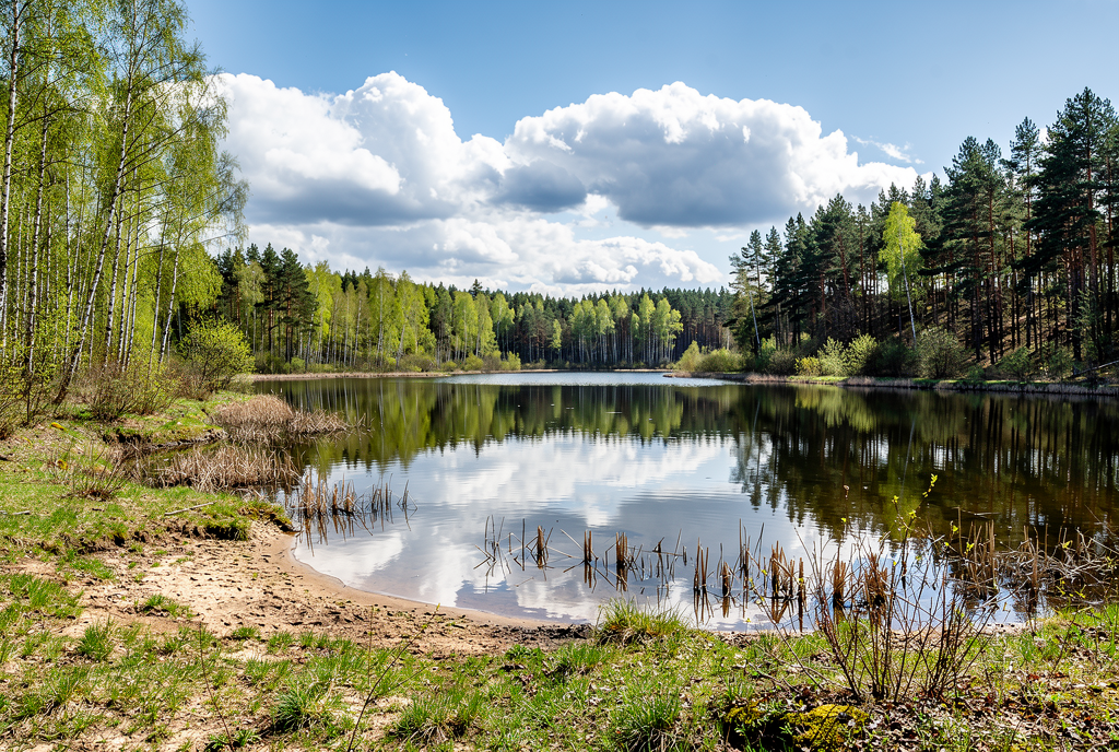Погода у Семенівці на 26.04.2026