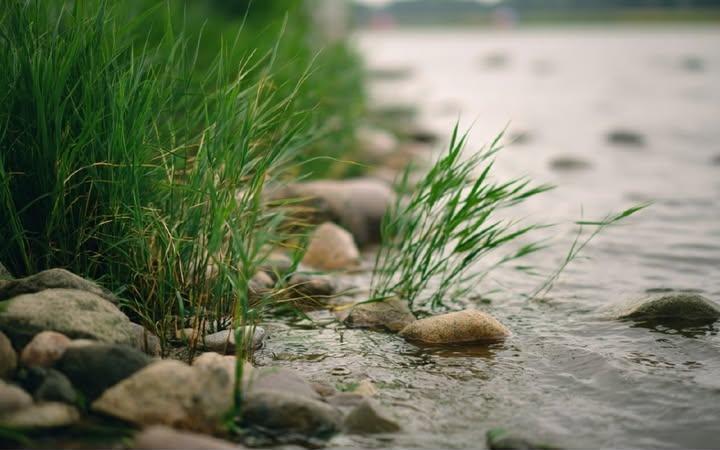 Новгород-Сіверська РВА нагадала про небезпеку на водоймах у прикордонних громадах