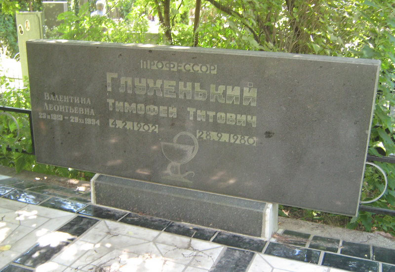 Двоє професорів із Жадового: історія братів Глухеньких